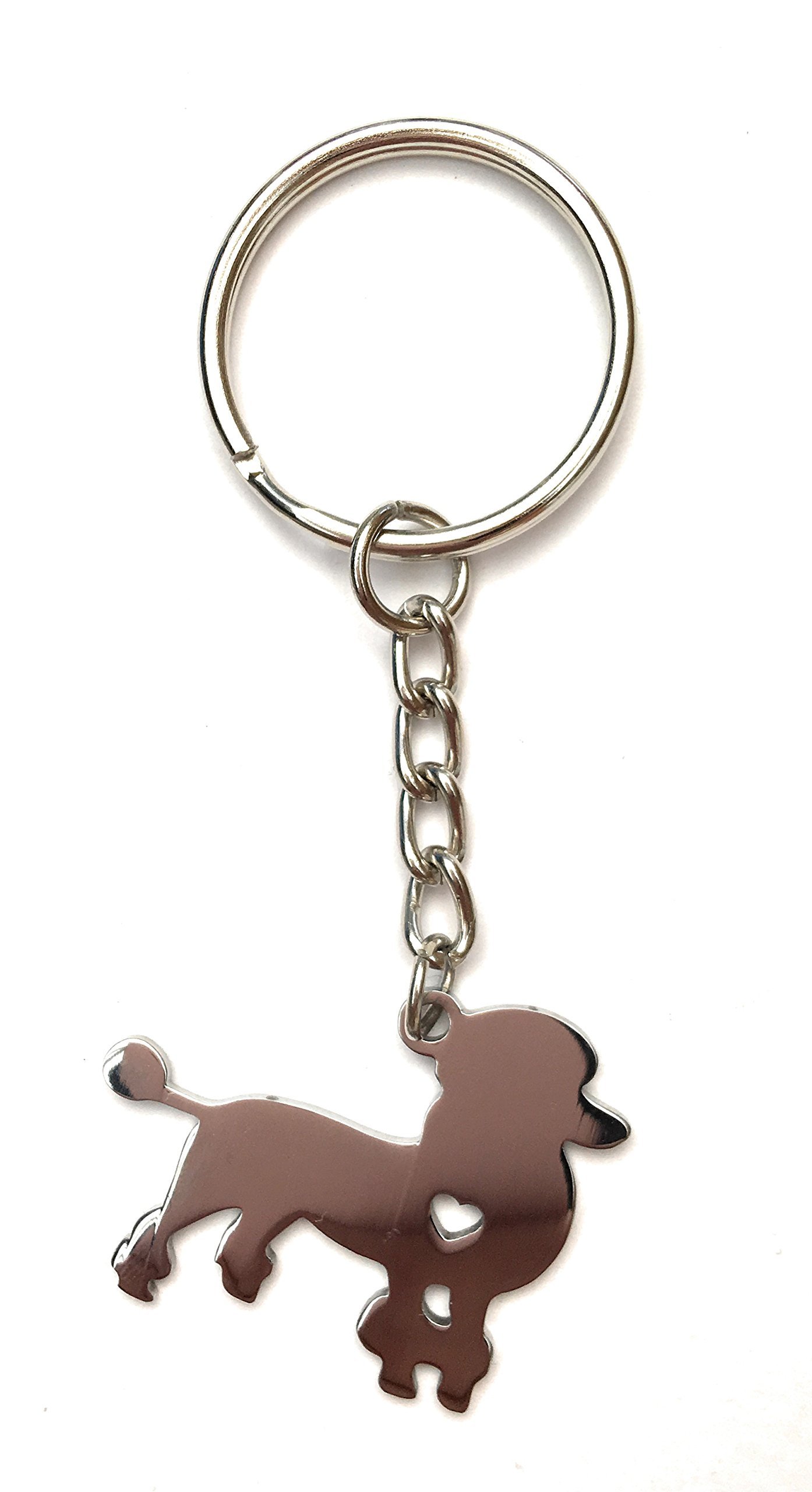 FizzyButton Gifts Poodle Puppy Dog Keyring Key Ring with Stainless Steel Silhouette Charm and Turquoise Gift Box