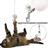 MAIYADUO Cat Toys Interactive Wand 6Pcs Feather Teasers 80cm for Indoor Cats view 4