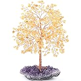 MASGEMES Gemstone Crystal Tree of Life,Natural Citrine(406 Stones Count) with Amethyst Cluster Base,Chakra Healing Crystals Positive Energy Fengshui Bonsai Money Tree Gift 8.5"-9"