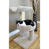 Cat Window Perch