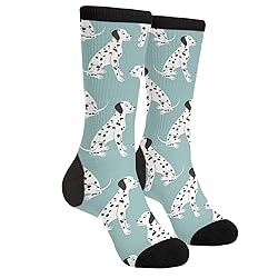 Jinjinkiang Dalmatian Blue Dalmation Dog Unisex