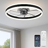 Fszdorj Ceiling Fan with Light, Upgraded
