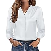 Rapbin Womens Button Down Shirts Dressy Casual Satin Silk Long Sleeve V Neck Tops Business Office Work Blouses 2025