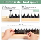 Apluskis Upgraded Bird Spikes 20 Pack 6m Outdoor Deterrent Fence Black view 5