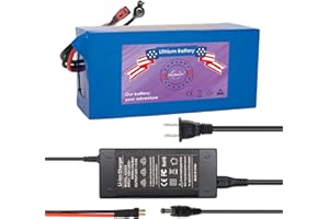 DaYaoEnne 36V Scooter Lithium Battery 36Volt 10AH Ebike Lithium Battery Pack T-Plug and 30A BMS for 200-1200W with 2A Charger (36V10Ah with Charger)