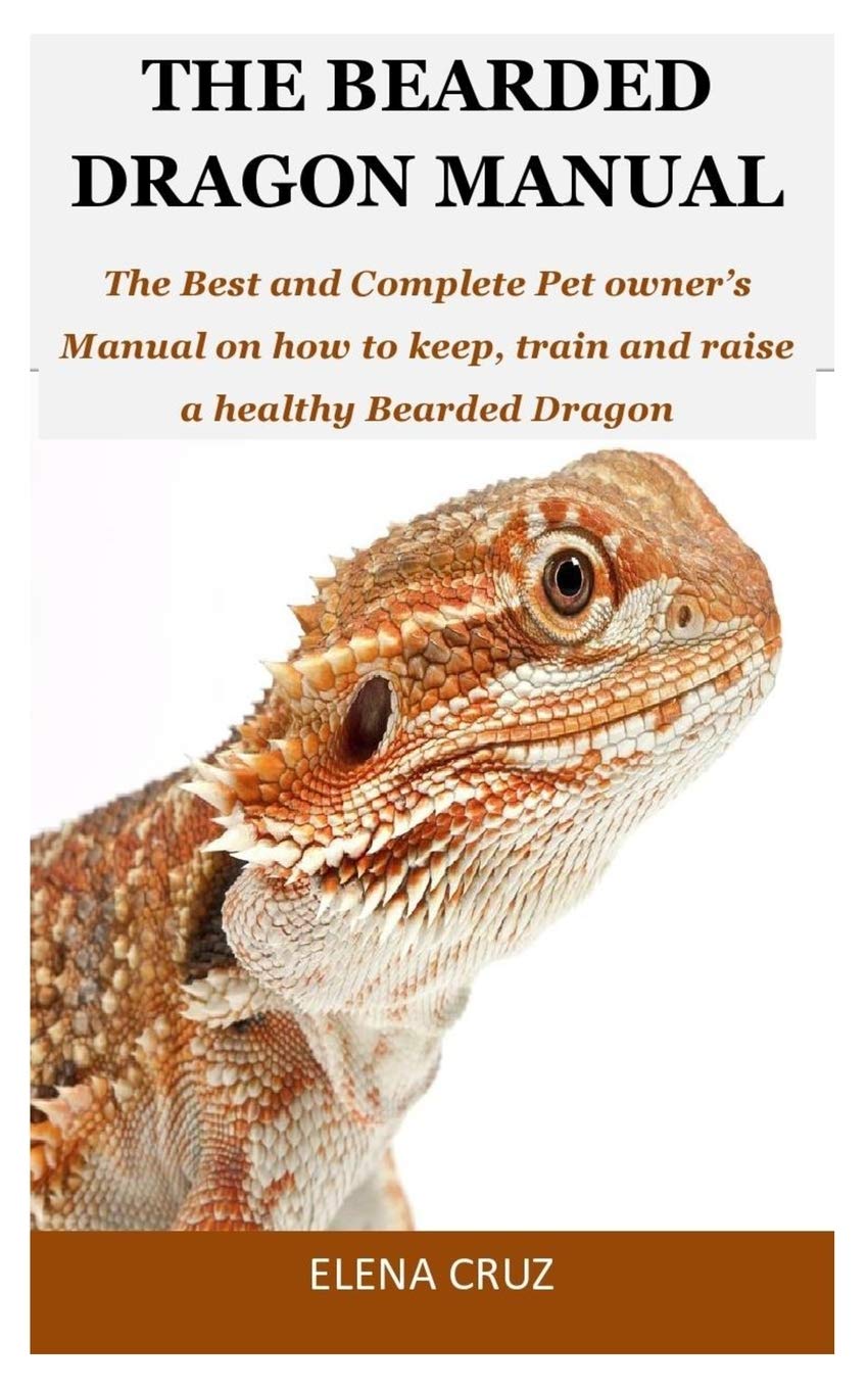 best reptiles to keep