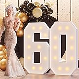 Bugame Light Up Numbers 4FT, Number 60 Light Up