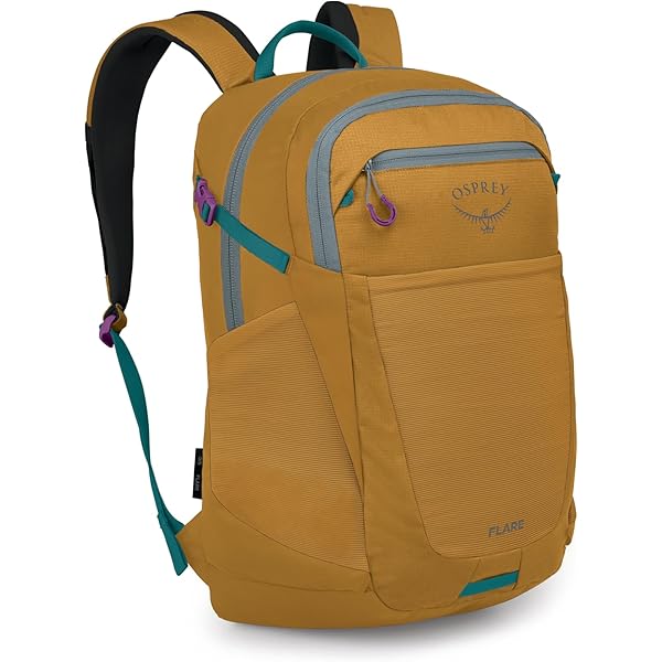 Amazon.com : Osprey Daylite Plus Commuter Backpack - Everyday Pack with Laptop Sleeve, Bottle Pockets, and Extra Storage, Mystery White/Multi : Sports & Outdoors Amazon.com : Osprey Daylite Plus Commuter Backpack - Everyday Pack with Laptop Sleeve, Bottle Pockets, and Extra Storage, Mystery White/Multi : Sports & Outdoors