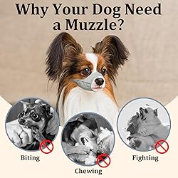 Mayerzon Short Snout Dog Muzzle, Small Muzzle for
