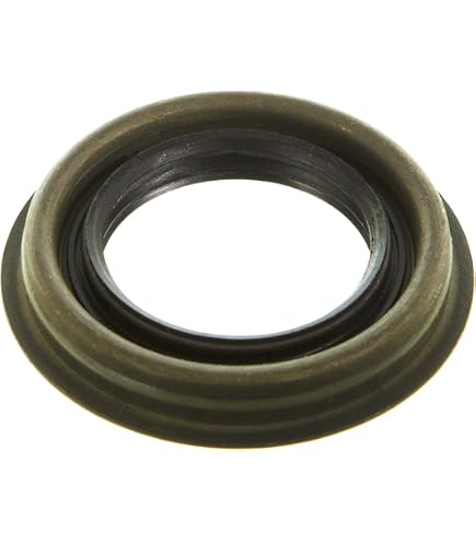 Amazon.com: National 711119 Transfer Case Input Shaft Seal