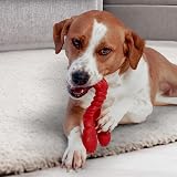 Nylabone Extreme Chewers Lobster Tough Nylon Dog Toy Extra Large 23kg+ view 4