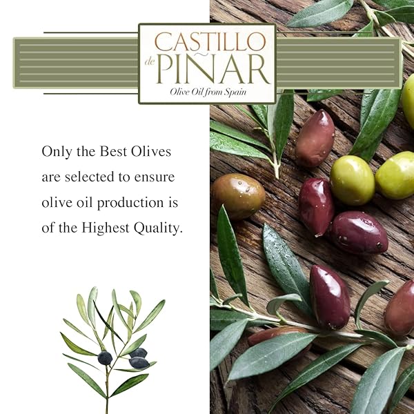 CASTILLO DE PINAR FIRST COLD PRESSED ORG EXTRA VIRGIN OLIVE OIL PICUAL SINGLE-VARIETY 500ML