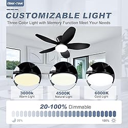 Nink Tink Small Ceiling Fans with Lights - 35 Inch