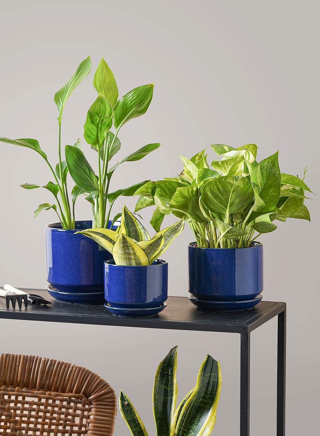 LE TAUCI Plant Pots 4.5" & 5.3" & 6.5" Flower Pot with Drainage Holes and Saucers, Ceramic Pots with Tray, Outdoor Garden Planters, with Mesh Pads, Set of 3, Sapphire Blue: Garden & Outdoor
