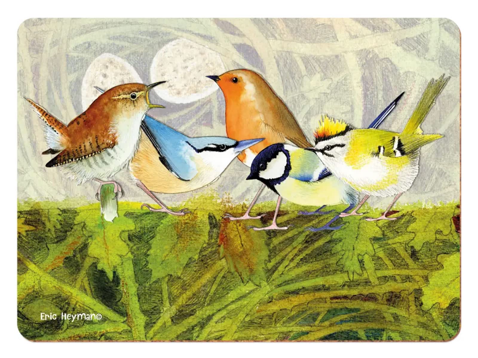 British Birds Nest Placemats - Set of 4