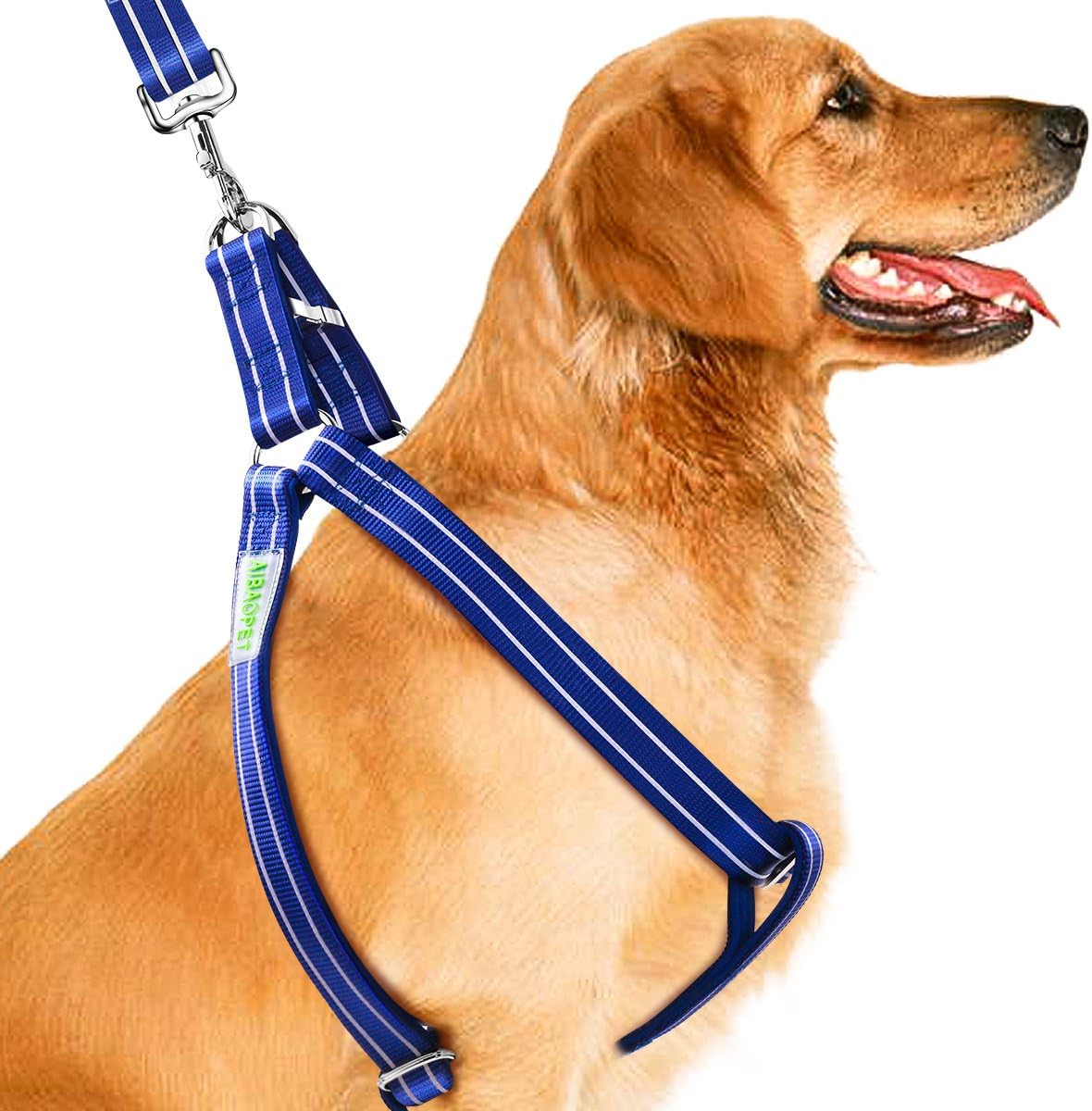 CoolPets Dog Harness Leash Collar Set, Adjustable Heavy Duty Harnesses for Large, Medium, Small Breed Dogs, Back Clip, Anti-Twist, No Pulling, Easy for Walking, Running, Training