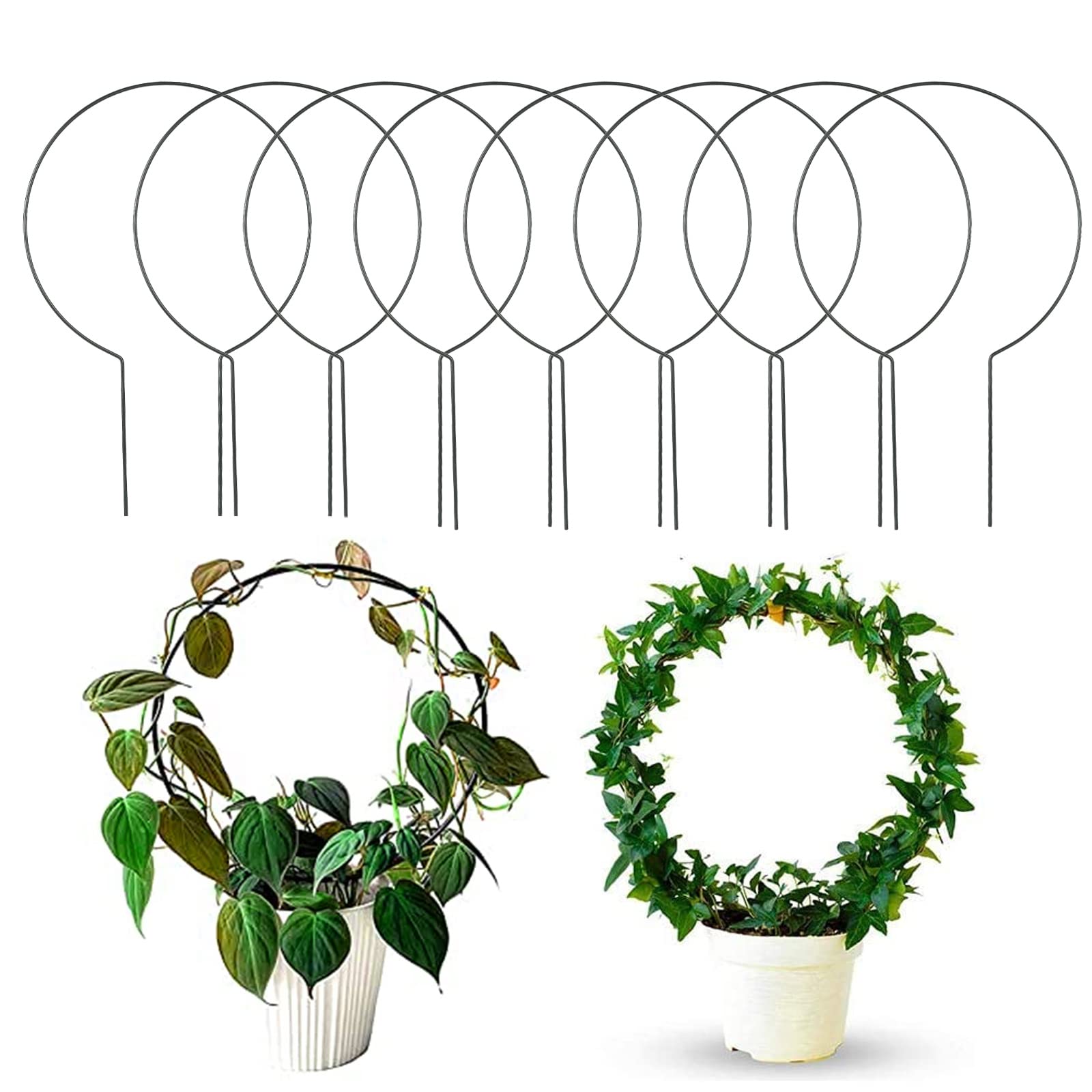Photo 1 of **********MISSING PARTS*******
Acrux7 10 Pcs Circle Indoor Plant Trellis for Potted Plants, 10 Inch Small Hoya Trellis for Climbing Plants, Vines, Topiary Frames
