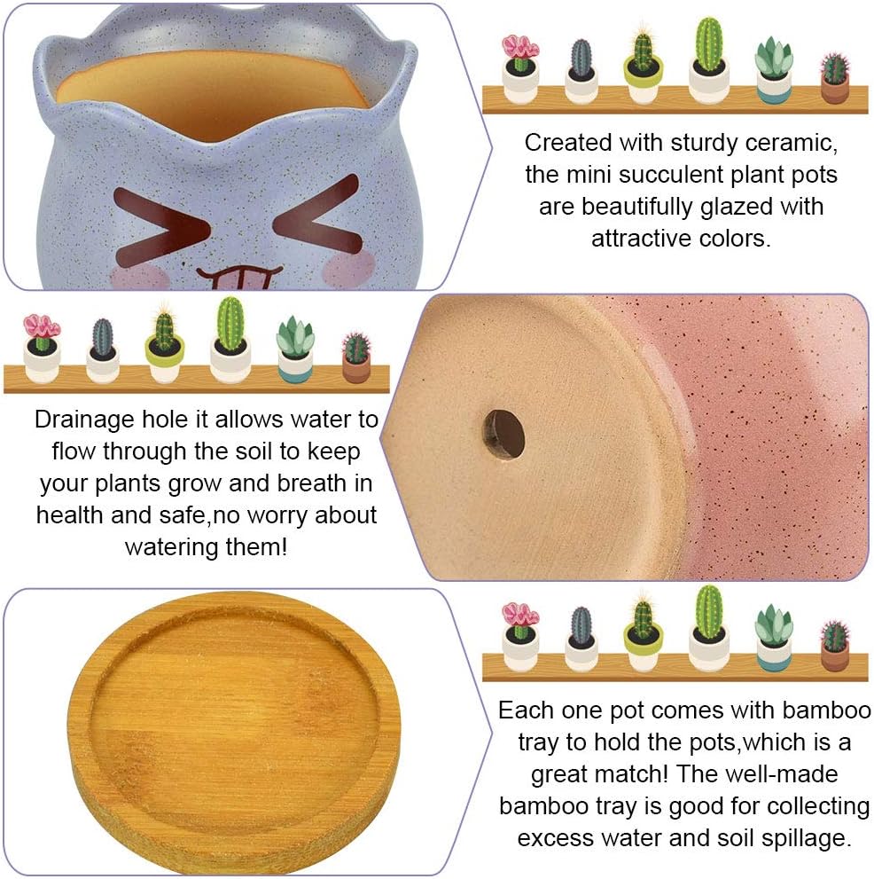 EMAGEREN 4 Pcs Ceramic Succulent Planter Pot Mini Cactus Plant Pot Flower Pot Container Small Succulent Plant Pot Emoticons Pattern Bonsai Planters with Bamboo Tray for Home Office Table Desk Decor - Image 4