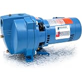 Goulds J10S, 1 HP Cast Iron Shallow Well Jet Pump, Power Water Pump, 25 GPM, 1 PH, 60Hz, 115/230v, 3 Year Warranty