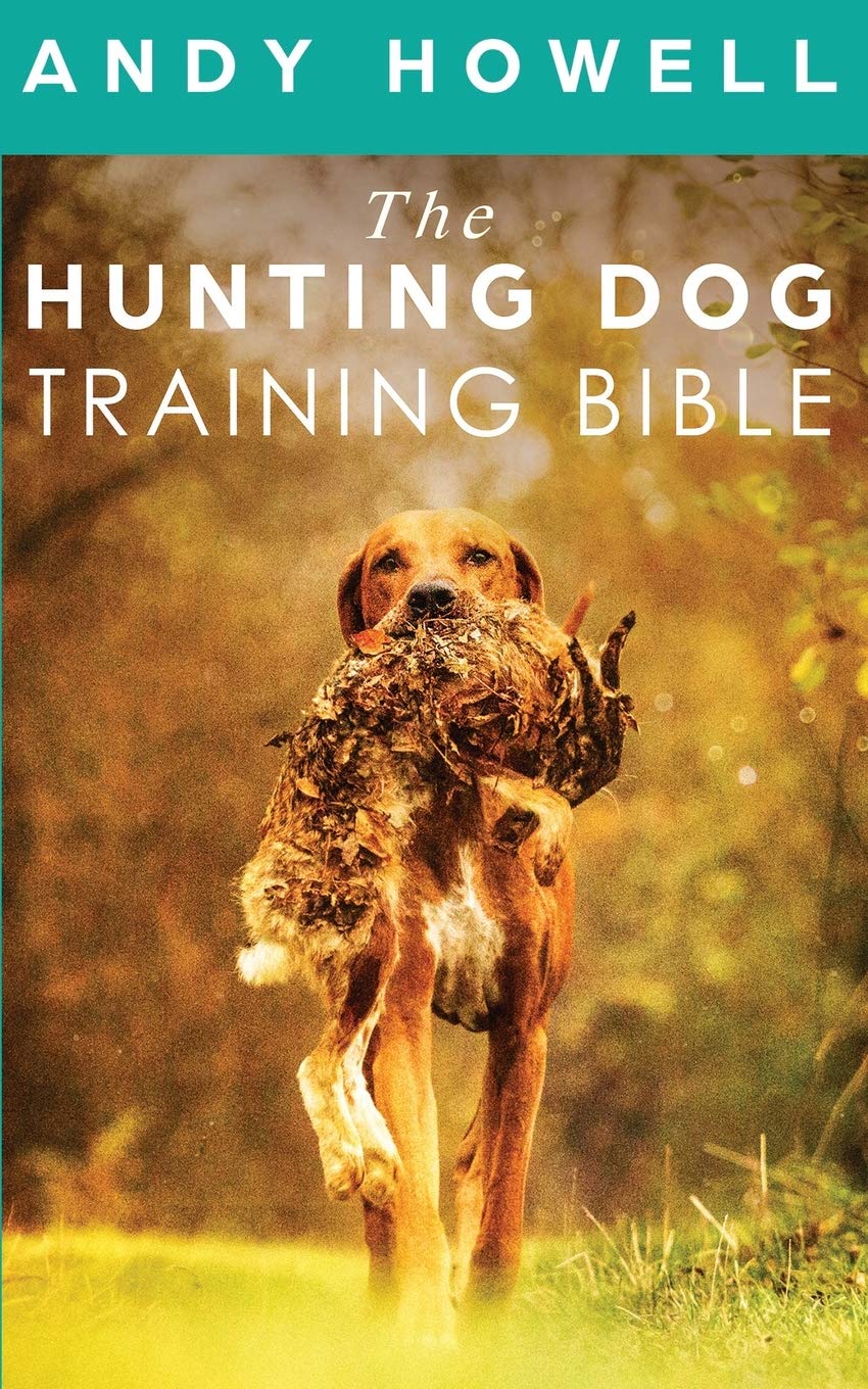 hunting dog training