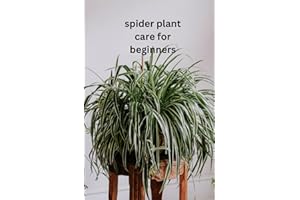 Spider Plant Care For Beginners: The only book you need for caring and growing the humble spider plant whether your new to house plants or you're an experienced house parent
