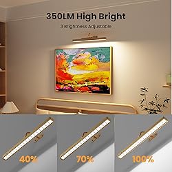 Wireless Picture Light Battery Operated, 16in