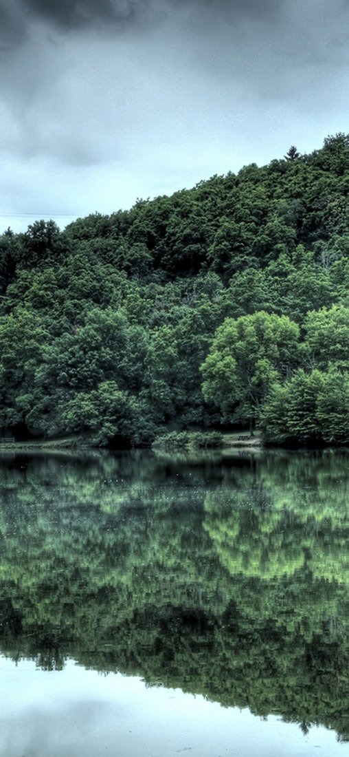 PeelitStickit, Beautiful Nature Wall Murals, ID-1336, vinyl