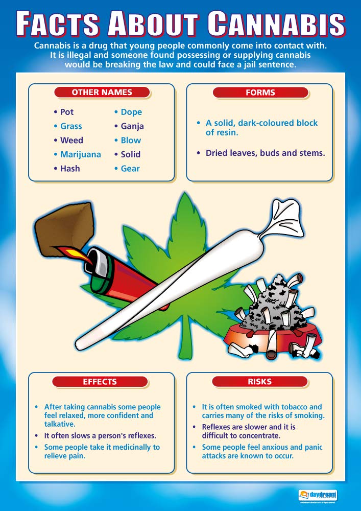 Daydream Education Cannabis | PSHE Posters | Laminated Gloss Paper measuring 850mm x 594mm (A1) | PSE Classroom Posters | Education Charts