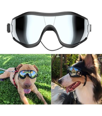 Doggie Stylz Reflektierende Blind Hund Patches – 2er Set, Größe Large 6x2 Zoll, Abnehmbar Für Geschirr