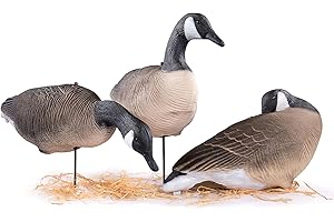 Heerweiyi Goose Decoys Pack of 6, Popular New Material EVA Collapsible Plastic Goose Hunting Decoys, Goose Decoys, Easy to Carry and Use, Cost Effective