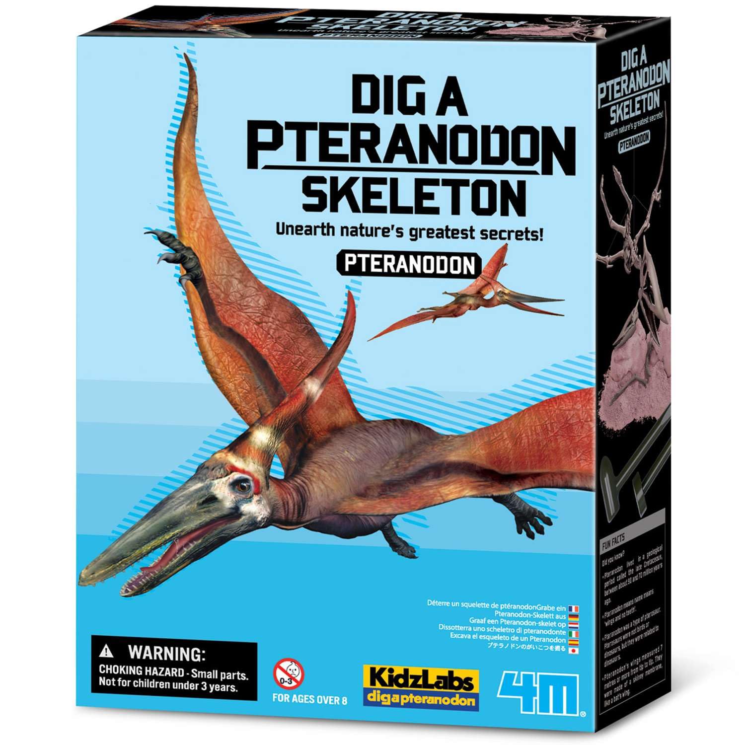 4M KidzLabs Dig a Pteranodon Skeleton Kit for Kids | STEM Dinosaur Excavation Set with Plaster Block, Hammer, Chisel, Brush & Skeleton Model | Educational Gift for Boys & Girls Age 8+