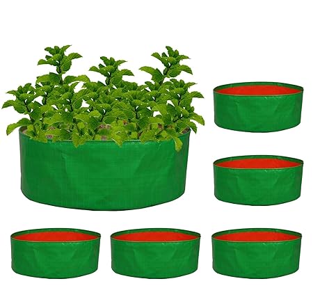 Nabaat Terrace Gardening Grow Bag for Vegetable Fruits Plants with Free Seeds (18x7) 