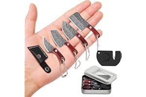 JAEZZIY Mini Knife Set, Damascus Pocket Knife with Sharpener, Mini Chef EDC Knives, Tiny knife Cleaver Keychain Tiny Things for Package Opener, Box Cutter, Letter Opener - Set of 5