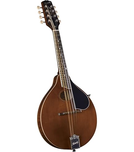 Amazon.com: Kentucky, 8-String Mandolin, Transparent Amber