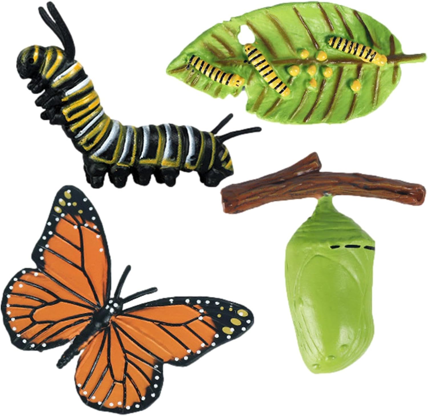 Insectss Life Cycle Figurines - Educational Biological Growth Stages, Realistic Hand-Painted Learning Models, Durable Odourlesss PP Plasticss Build, 4 to 5 Piece Development Sets - for Kids 3 Years