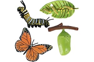 Insectss Life Cycle Figurines - Educational Biological Growth Stages, Realistic Hand-Painted Learning Models, Durable Odourle