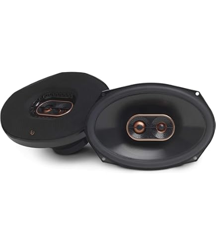 Amazon.com: Infinity Reference 9632IX 6