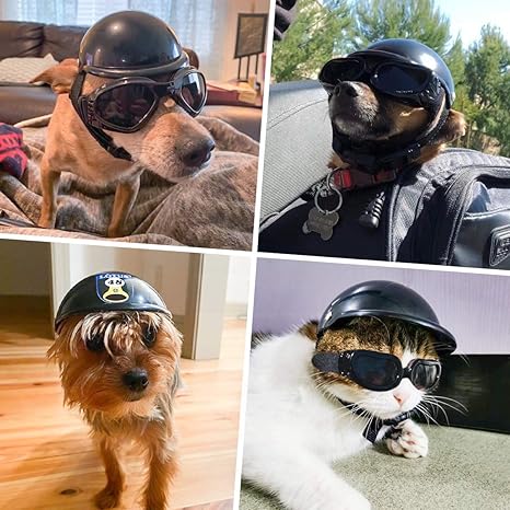 small dog helmet and goggles