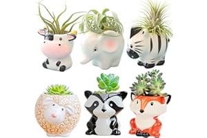 Melphoe 6 Pcs Air Plant Holders Cartoon Shaped Small Succulent Pot Animal Planter Small Ceramic Plant Pot Drainage for Mini Plant Cactus Flower, Tillandsia Air Fern, Display Stand Home, Office Desktop
