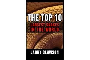 The Top 10 Largest Snakes in the World