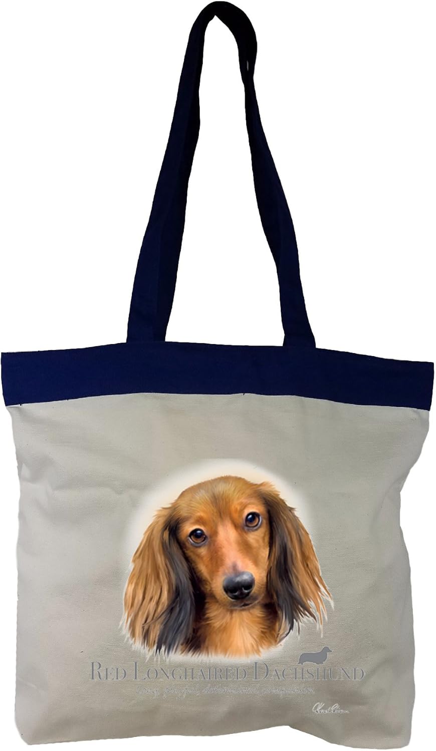 Amazon Com Personalized Red Longhaired Dachshund Dog Eco