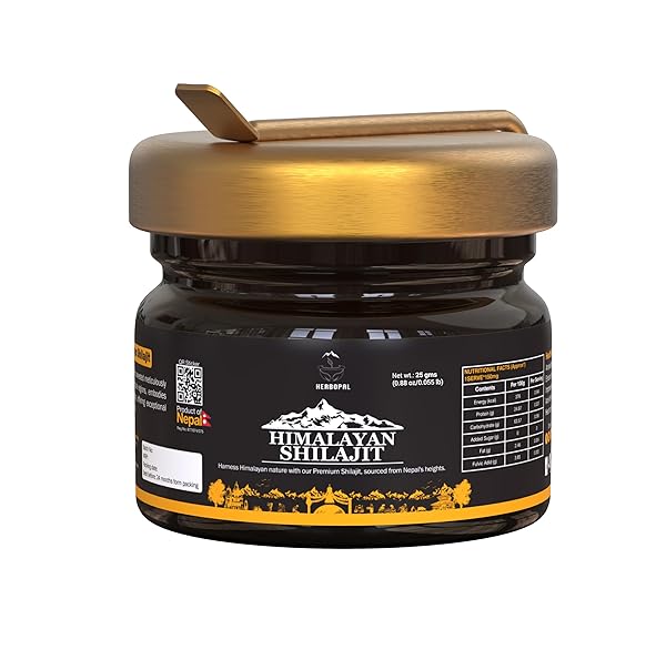 SHILAJIT – PURE ORGANIC RESIN FOR NATURAL ENERGY BOOST, IMMUNE SYSTEM SUPPORT, AND VITALITY ENHANCEMENT – 25 GRAM