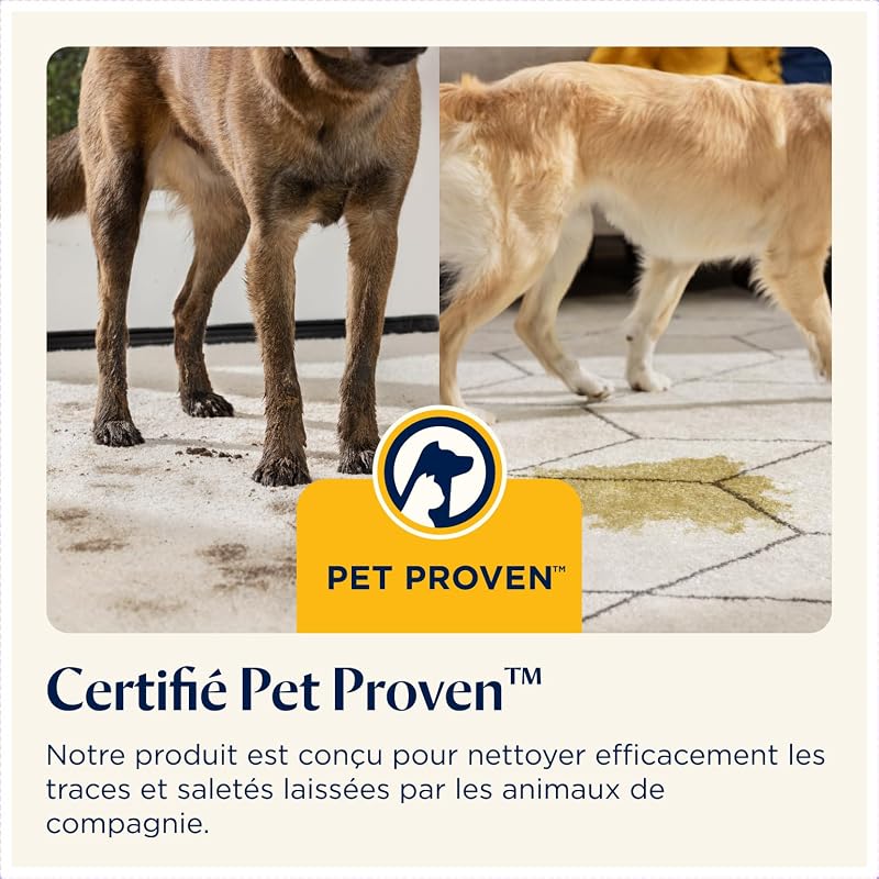 SpotClean Pet Pro Shampouineuse Canapé 750W 15585