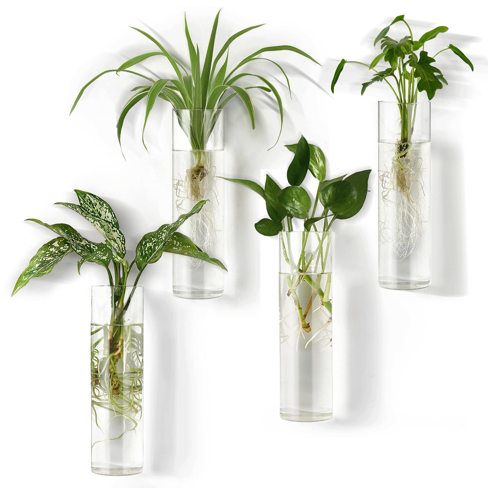 Photo 1 of Mkono Propagation Station Wall Planter Hanging Glass Tubes Flower Vase for Hydroponics Plants, Bathroom, Home Office Living Room Decor Gift, Cylinder Set of 4