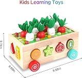 KMTJT Wooden Montessori Farm Harvest Shape Sorting Toy for Toddlers 1-3 view 2