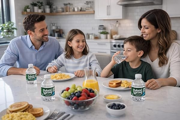 POLAND SPRING WATER BOTTLES 24 PACK – SMALL MINI BOTTLES – POLAND SPRING 8 OZ BOTTLED WATER