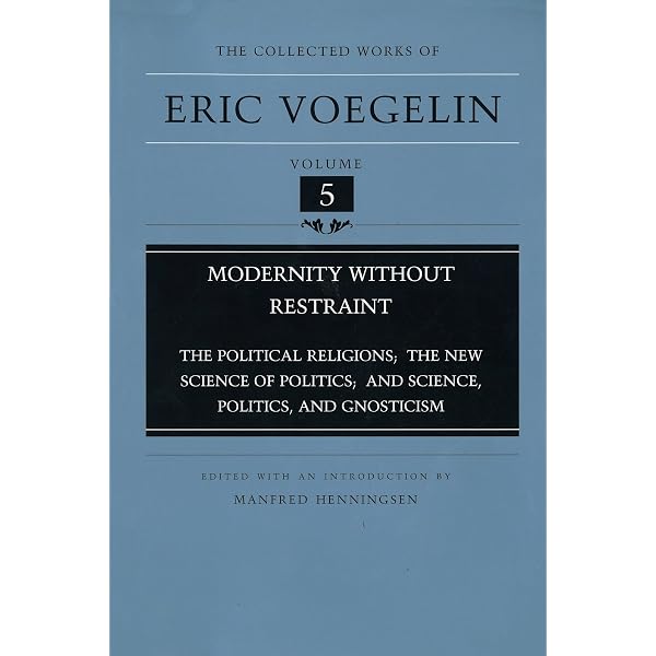 Amazon.com: Chan Insights and Oversights: an Epistemological