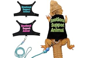 HOKABLE Bearded Dragon Lizards Clothes with Leash Set - Cute Lizard Reptile Small Animal Adjustable Harness Clothes for Walking Outdoor Security Costume Photo Prop(Green