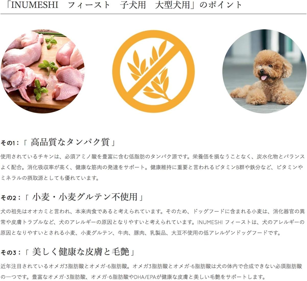 Amazon Inumeshi フィースト 子犬用 大型犬用 3kg 1kg 3 ノーブランド品 リンス 通販