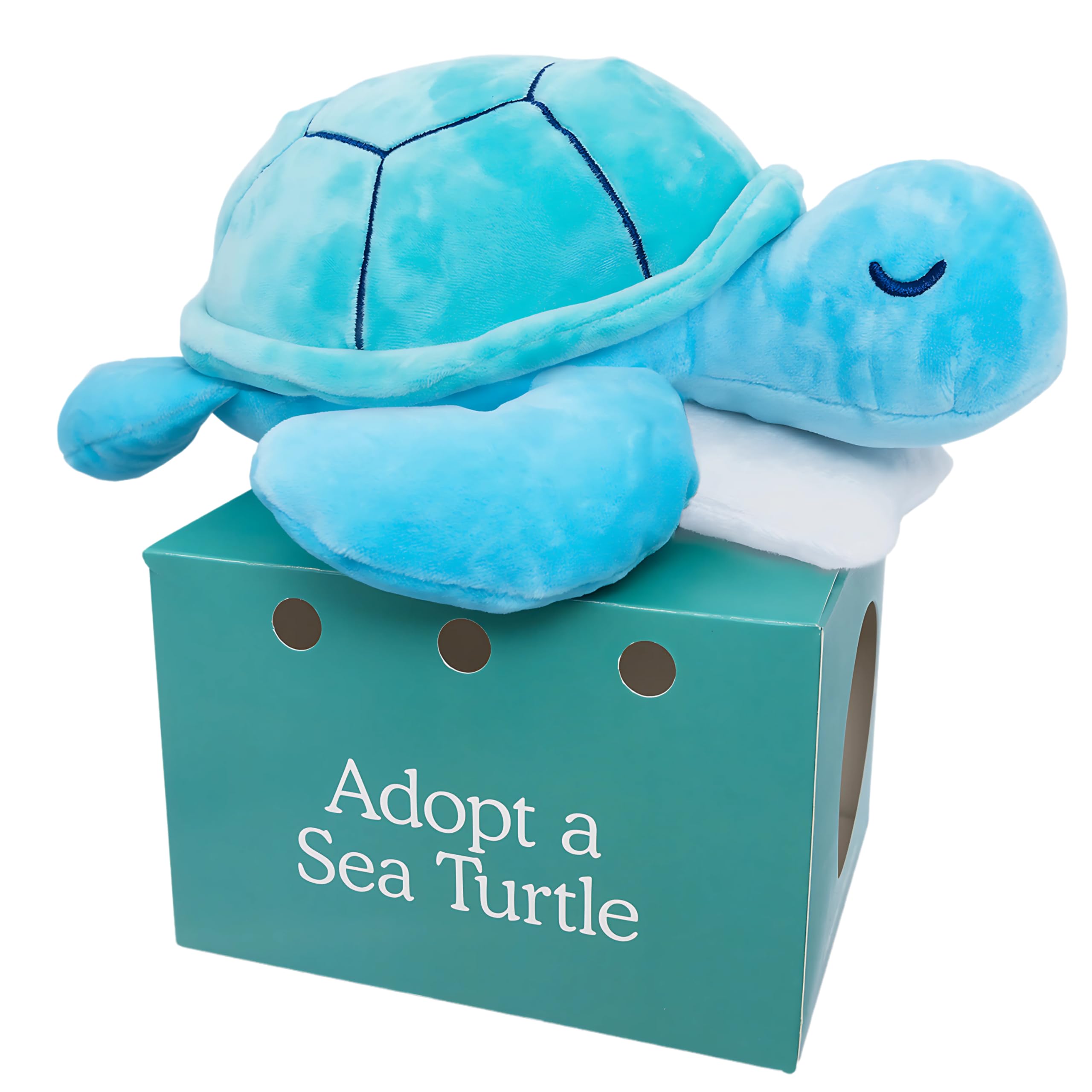 Photo 1 of Follow Your Legend Sam The Sea Turtle Plush with Pillow Accessory - 10" Adopt Me Plushies, Stuffed Turtle, Sea Turtle Stuffed Animal, Small Turtle Plush